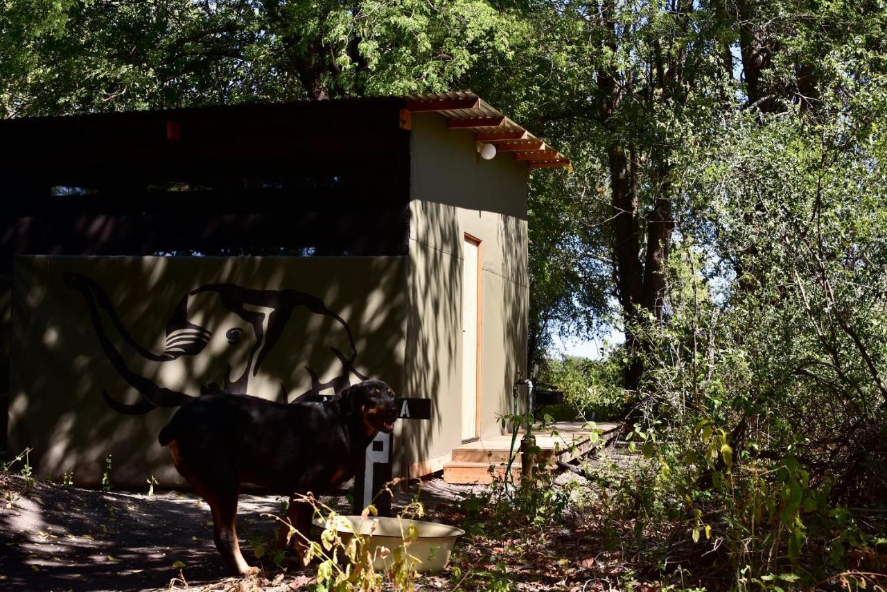 Phazama Farm Villa Maun Luaran gambar
