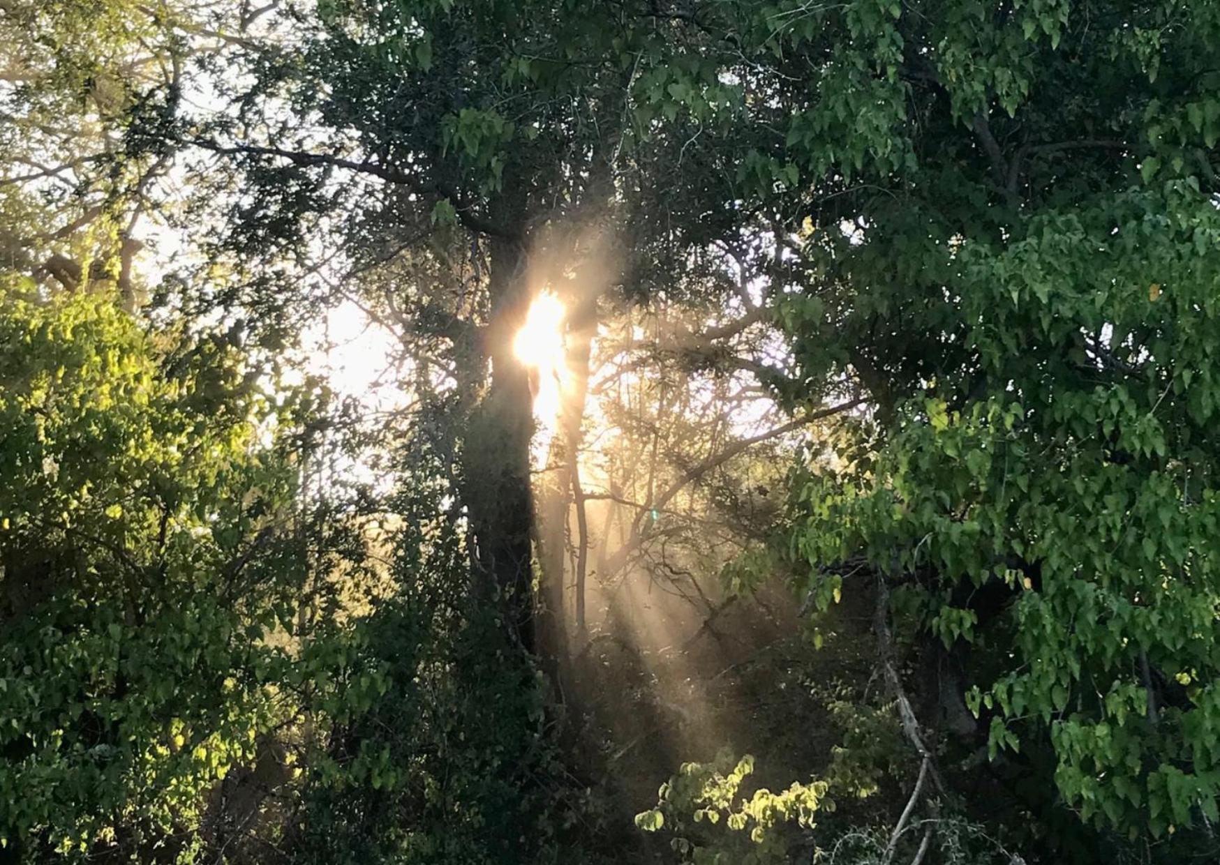 Phazama Farm Villa Maun Luaran gambar