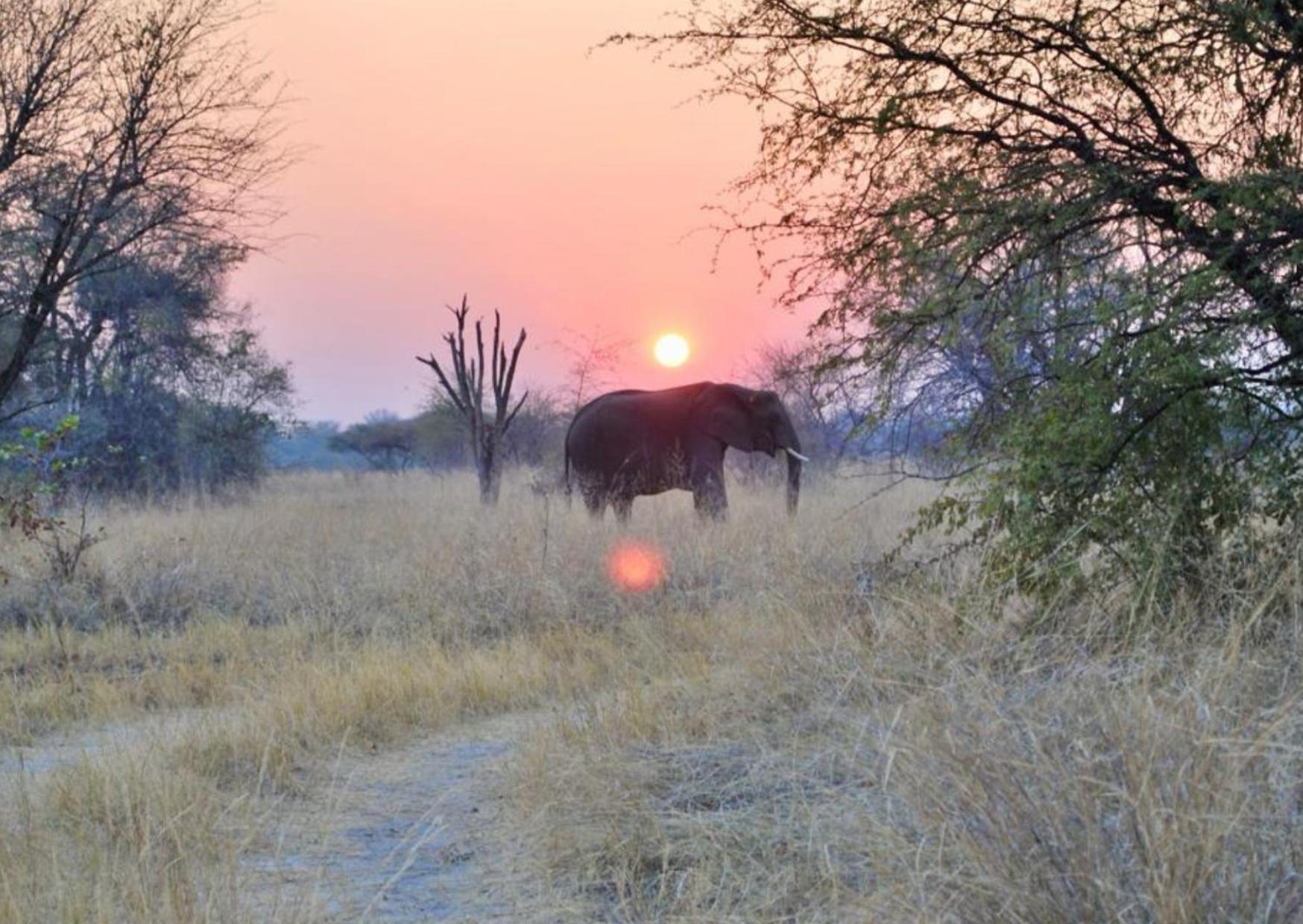Phazama Farm Villa Maun Luaran gambar