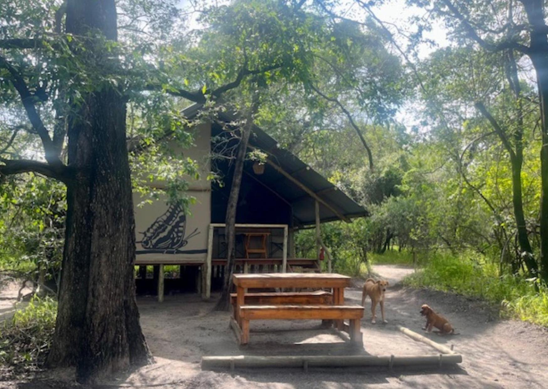 Phazama Farm Villa Maun Luaran gambar